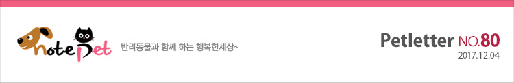 노트펫 반려동물과 함께 하는 행복한세상 Petletter 80회