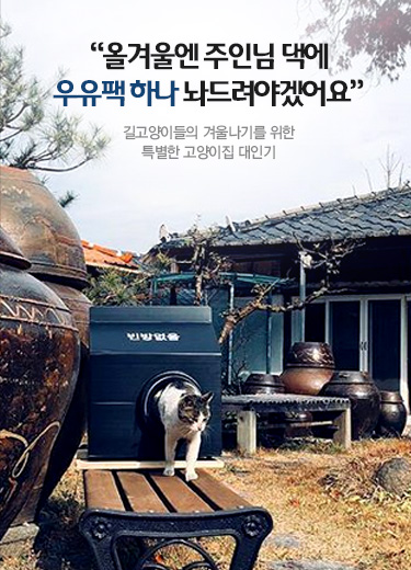 '올겨울엔 주인님 댁에 우유팩 하나 놔드려야겠어요' 길고양이들의 겨울나기를 위한 특별한 고양이집 대인기