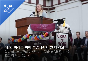 개 한 마리를 위해 졸업식까지 연 대학교. 학교 마스코트견의 마지막 가는 길을 배웅해주기 위한 조금 때 이른 졸업식