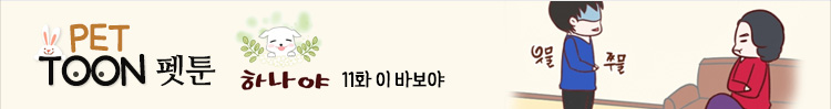 하나야: 11화 이 바보야