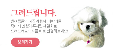 반려동물의 사진과 함께 이야기를 적어서 신청해주시면 세밀화로 드려드려요~ 지금 바로 신청해보세요!