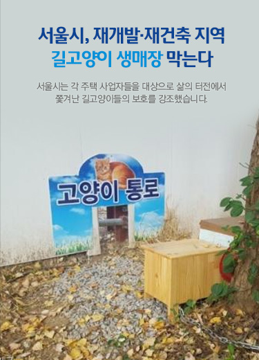 서울시, 재개발·재건축 지역 길고양이 생매장 막는다. 서울시는 각 주택 사업자들을 대상으로 삶의 터전에서 쫓겨난 길고양이들의 보호를 강조했습니다.
