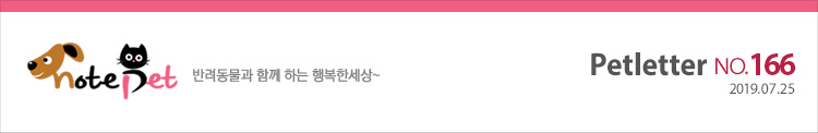 노트펫 반려동물과 함께 하는 행복한세상 Petletter 166회