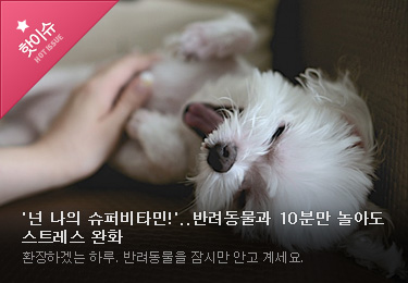 '넌 나의 슈퍼비타민!'..반려동물과 10분만 놀아도 스트레스 완화 환장하겠는 하루. 반려동물을 잠시만 안고 계세요.