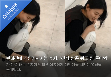 반려견에 개인기시키는 수지..'간식 받곤 뒤도 안 돌아봐' 가수 겸 배우 수지가 반려견 데지에게 개인기를 시키는 영상을 공개했다.