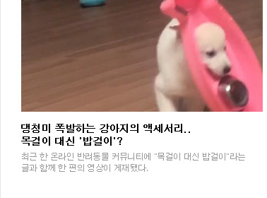 댕청미 폭발하는 강아지의 액세서리..목걸이 대신 '밥걸이'? 최근 한 온라인 반려동물 커뮤니티에 '목걸이 대신 밥걸이'라는 글과 함께 한 편의 영상이 게재됐다.